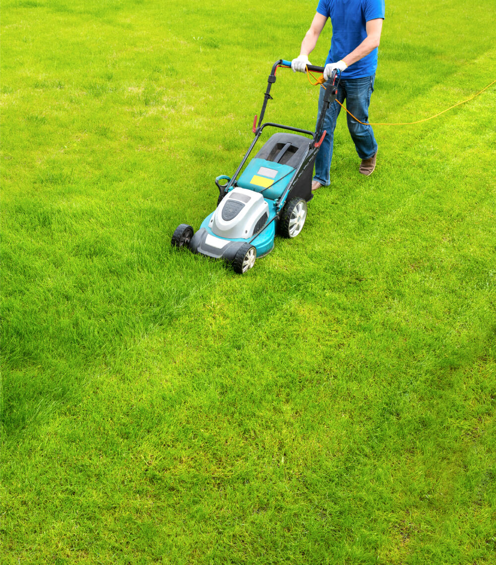 One of our LandSharxs using an electric mower