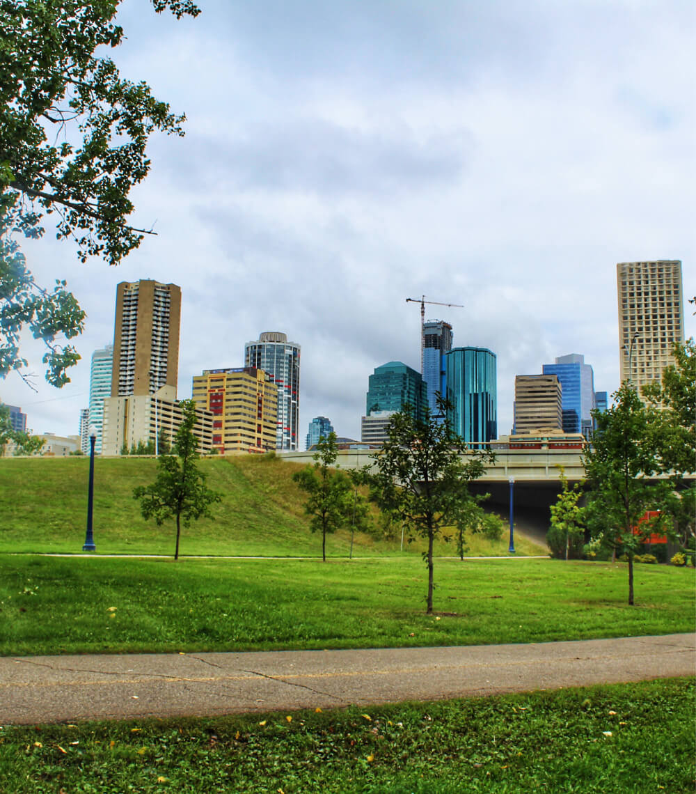 A view of some lush green grass in Edmonton