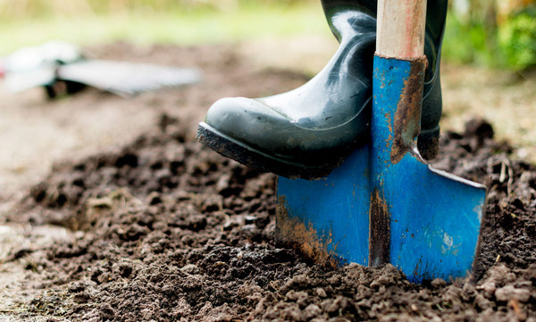 Garden Maintenance