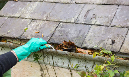 Eavestrough Cleaning