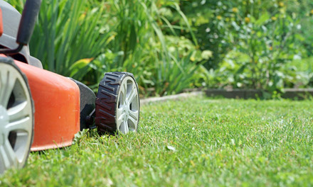 Lawn Mowing